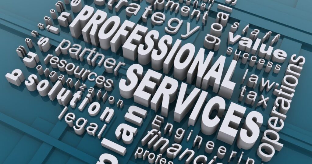 Professional Translation Services